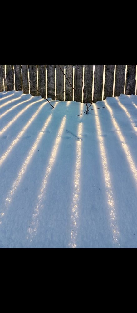 Photograph by Ирина