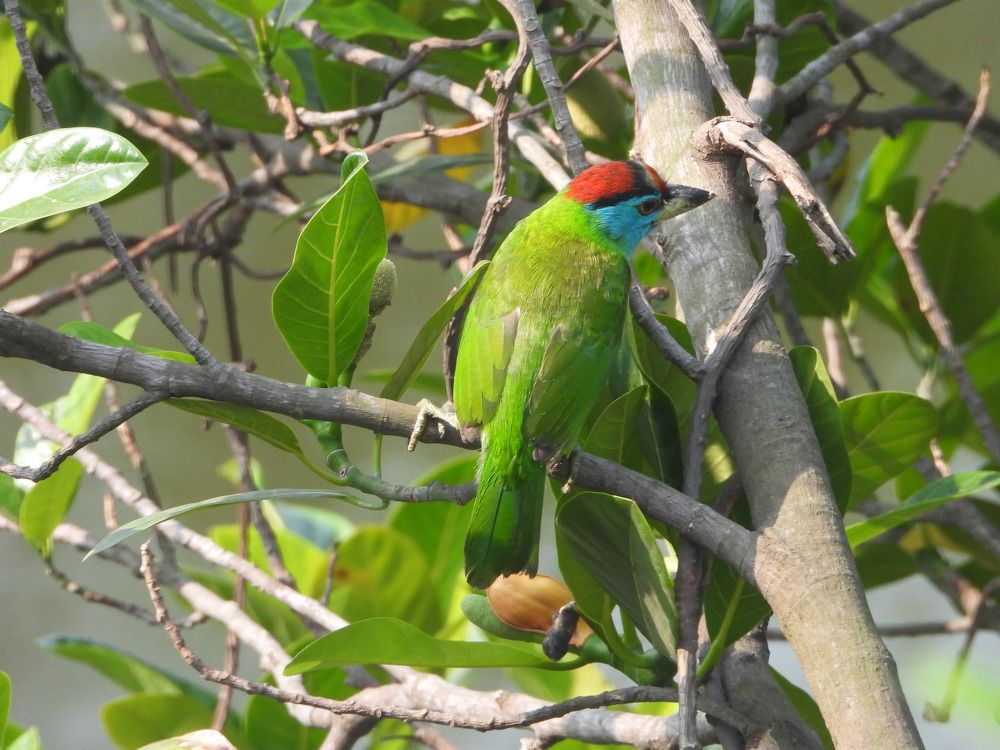 Photograph by Sougata Bhar