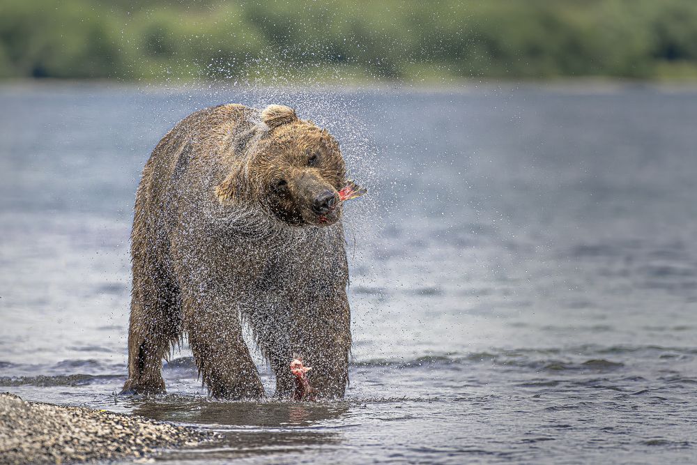 Photograph by Paolo Barbarini