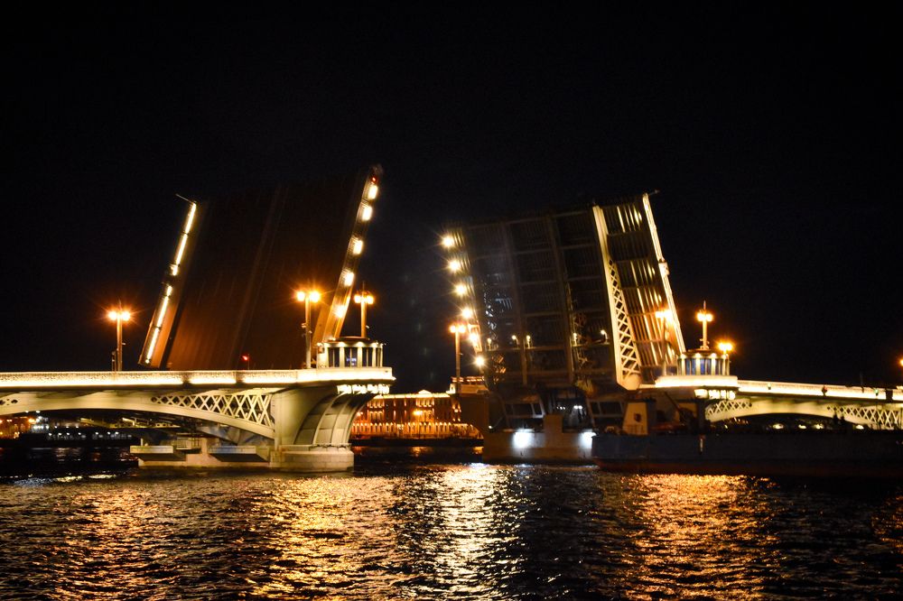 Photograph by Elvira