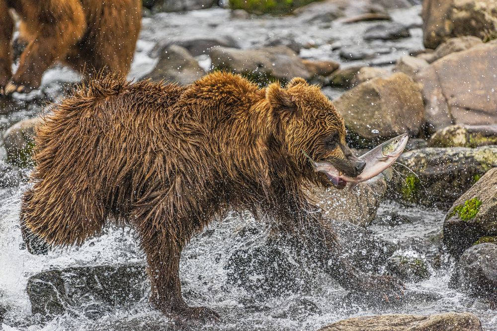 Photograph by Paolo Barbarini