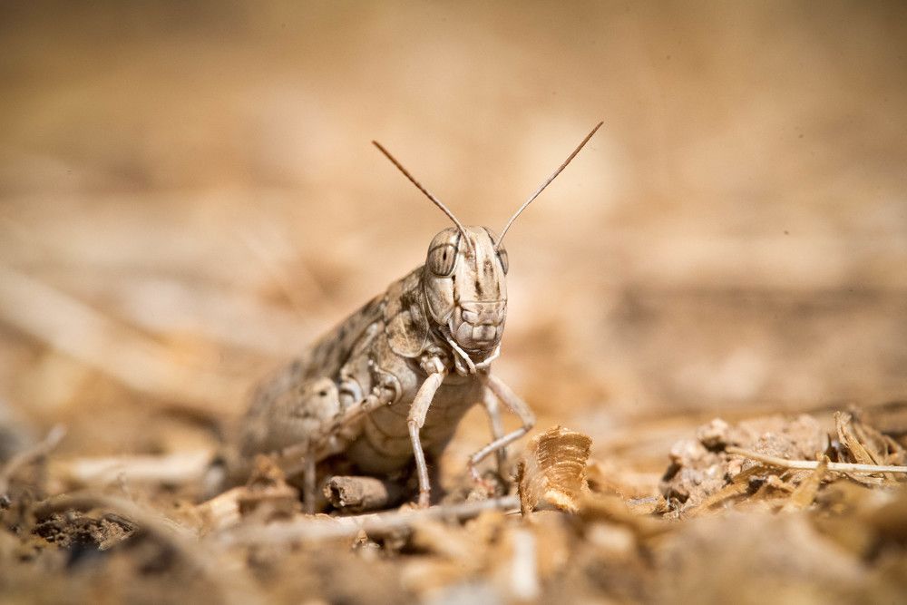 Фотография автора Мария Дмитриева