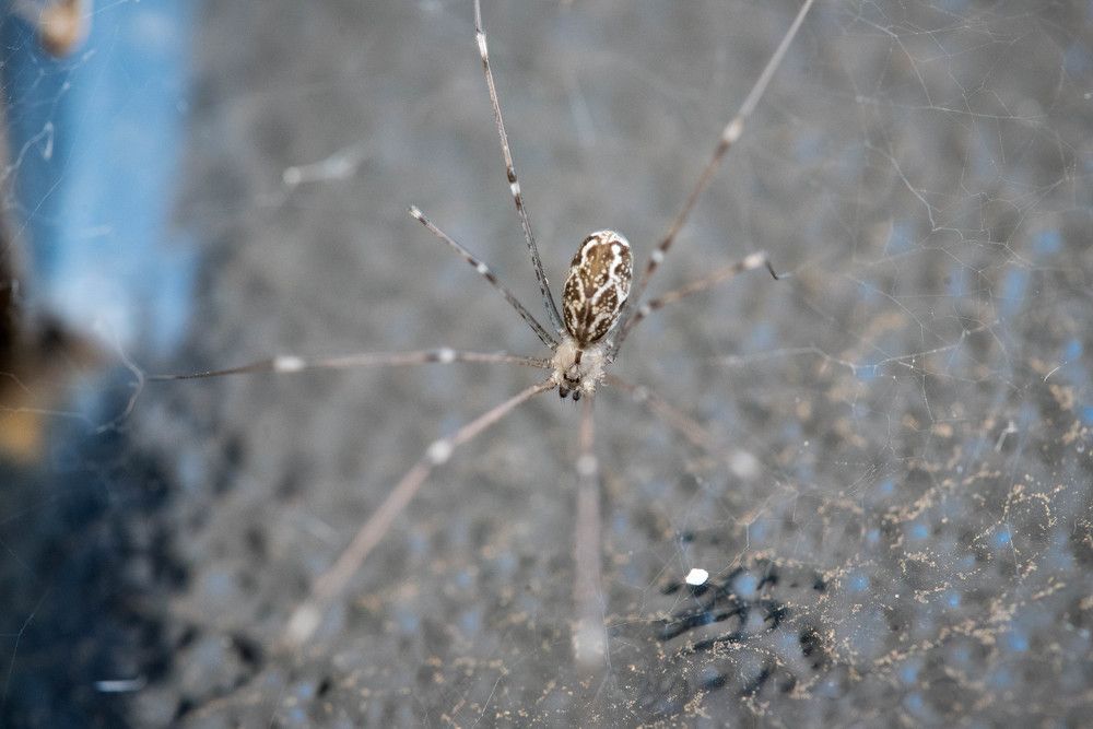 Фотография автора Мария Дмитриева