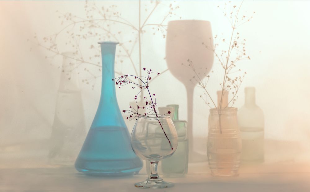 Photograph by Сушкевич Светлана