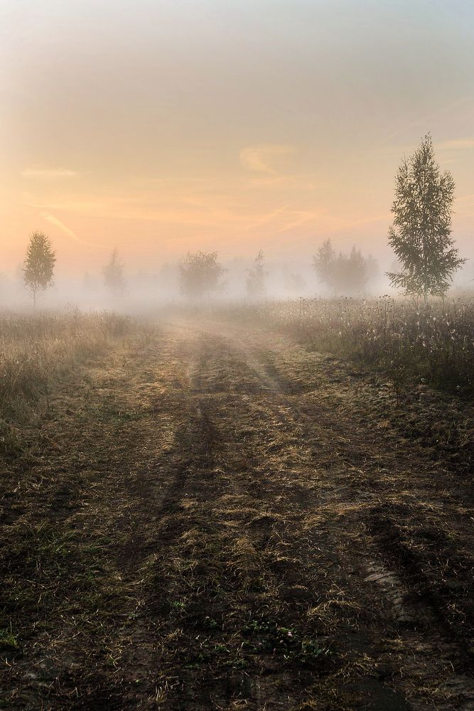 Photograph by Cергей Абакумов