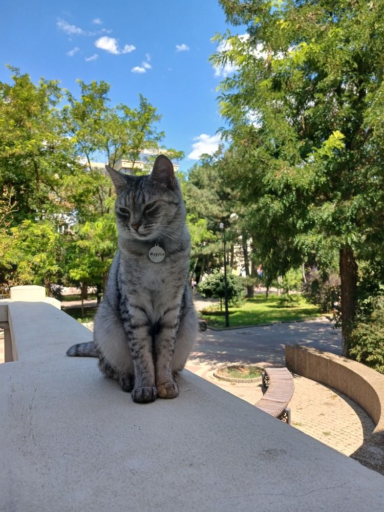 Photograph by Елена Кузнецова