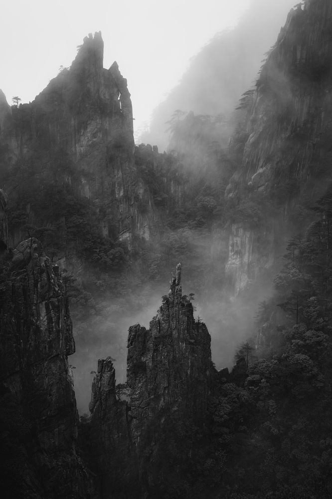 Photograph by Ni Bruce