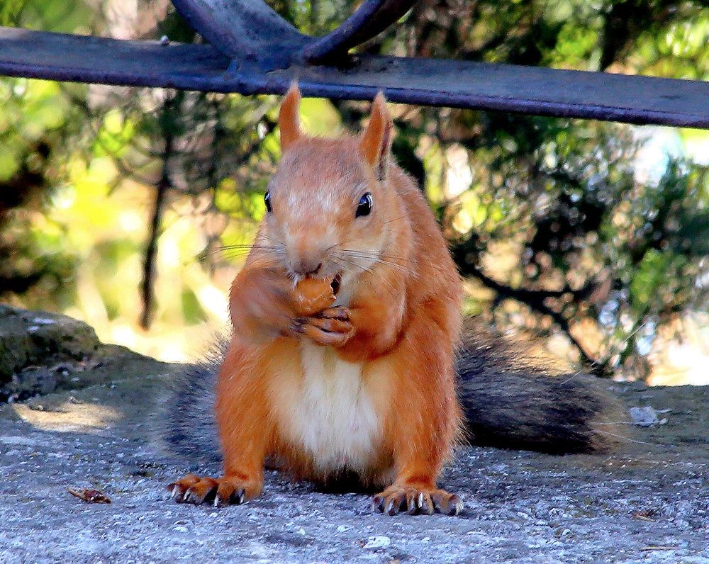 Photograph by Сергей Голов