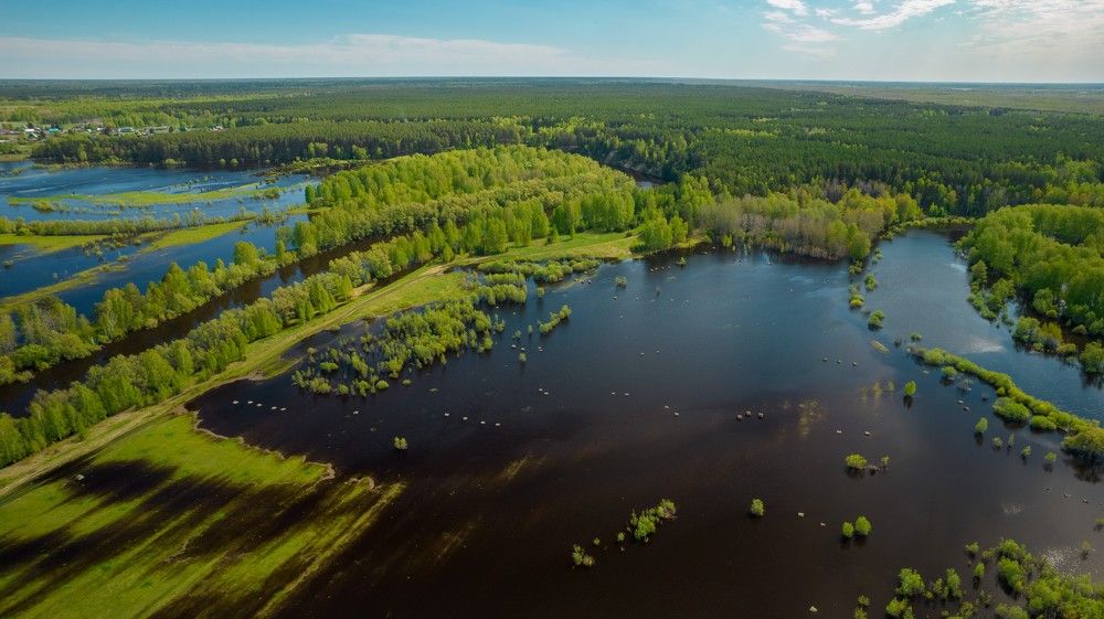 Photograph by Игорь Тюменцев