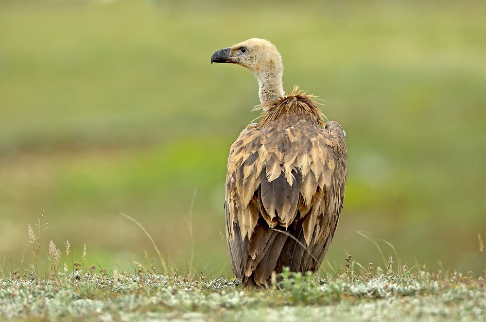 Фотография автора Гусар Александр