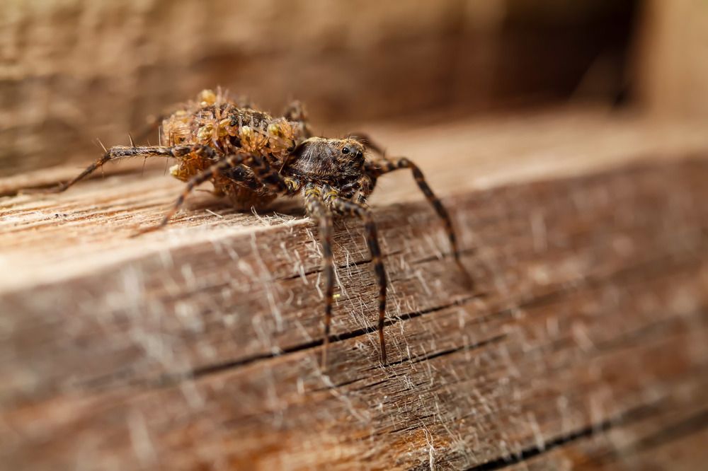 Photograph by Сергей Назаредский