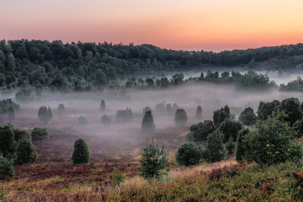 Фотография автора Евгения Чех
