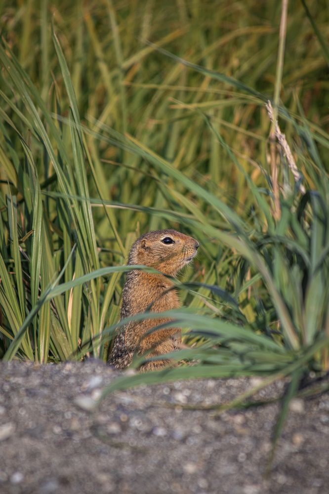 Photograph by Анастасия Рубан