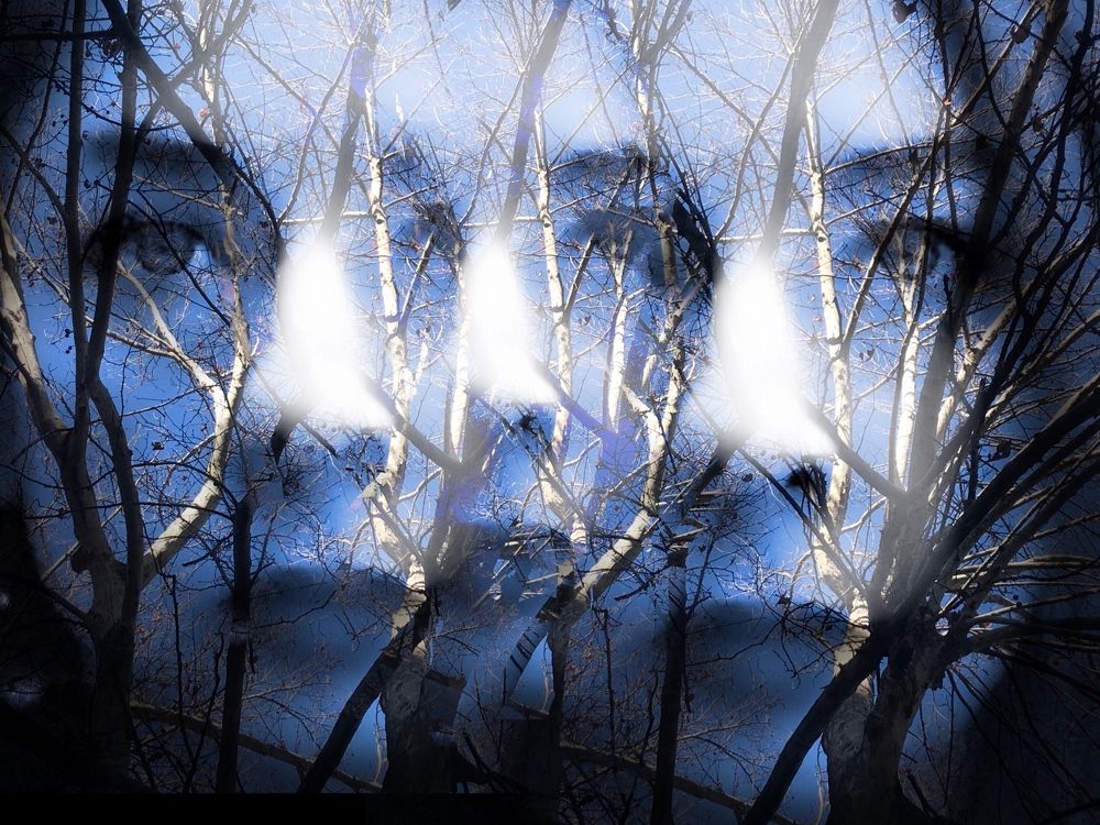 Photograph by Nunu Gambashidze