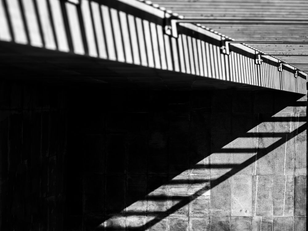 Фотография автора Дмитрий Кетов