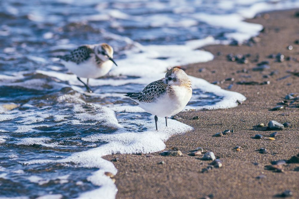 Photograph by Анастасия Рубан