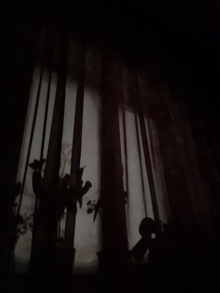 Фотография автора Наталья Шендяпина