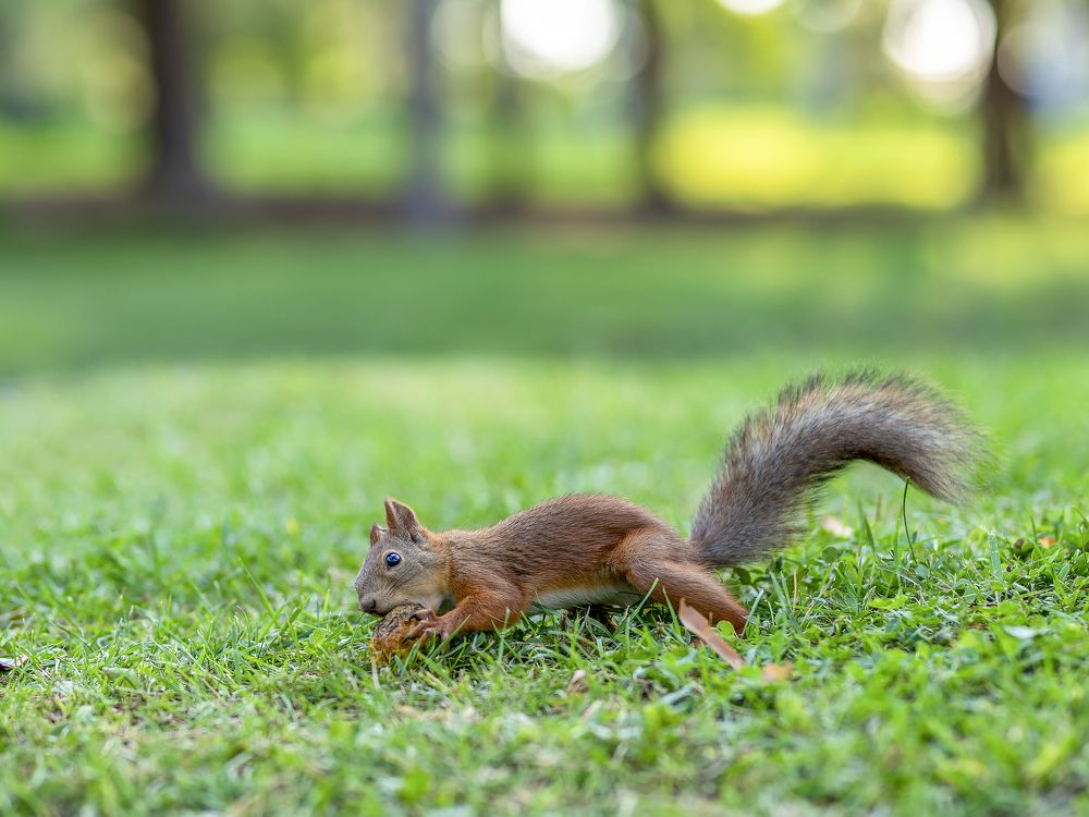 Фотография автора Дмитрий Кетов