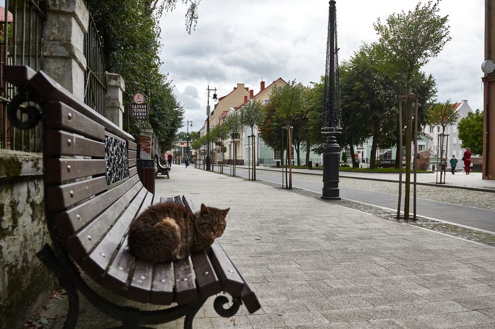 Photograph by николай конденко