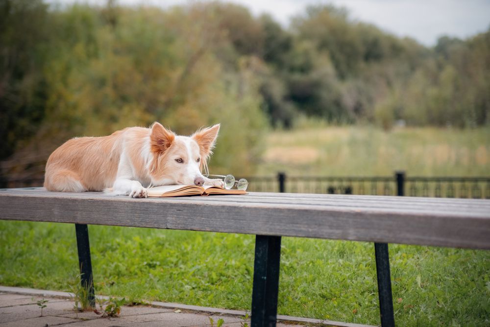 Photograph by Валерия Васина