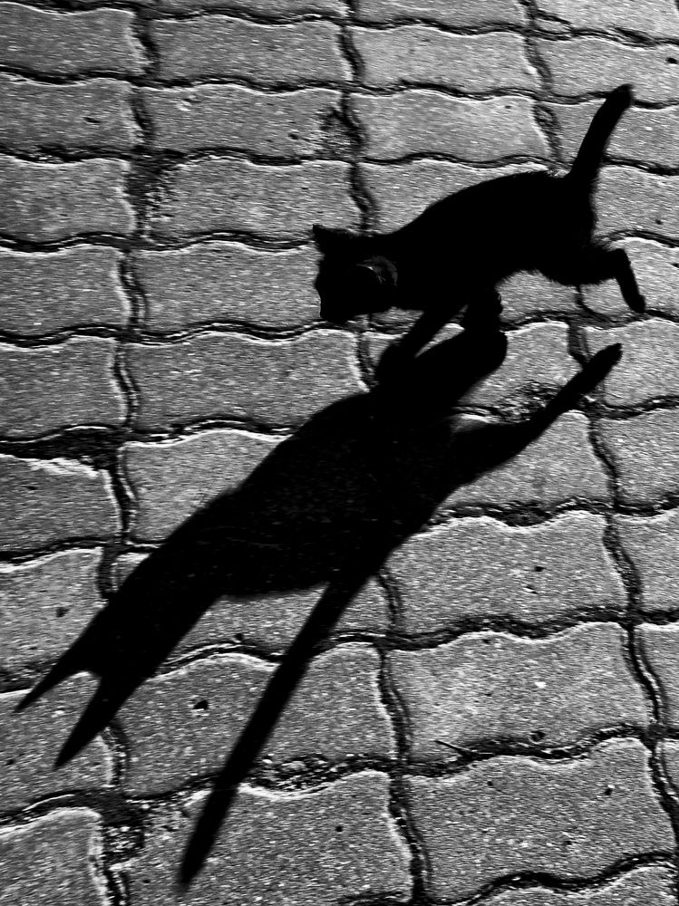 Photograph by Михаил Янкин