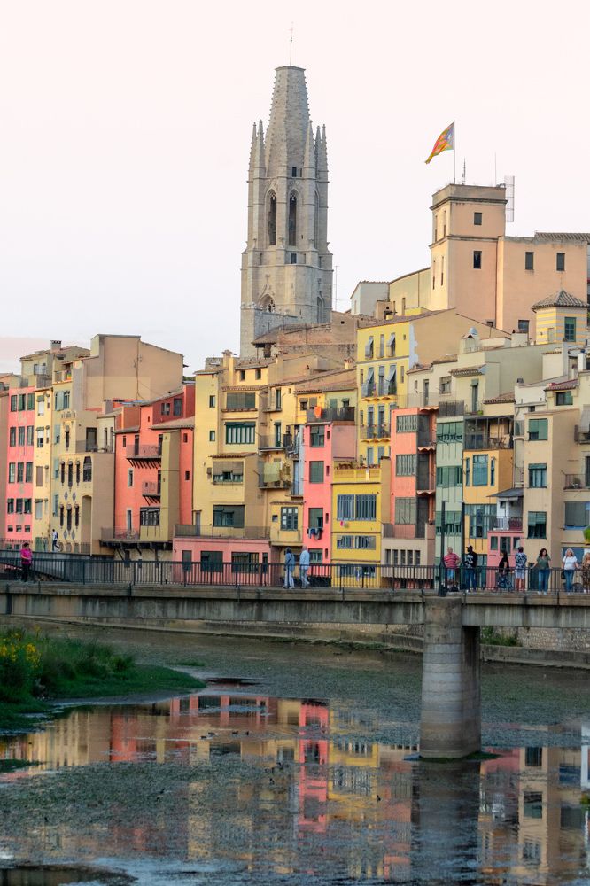 Photograph by esti lahat