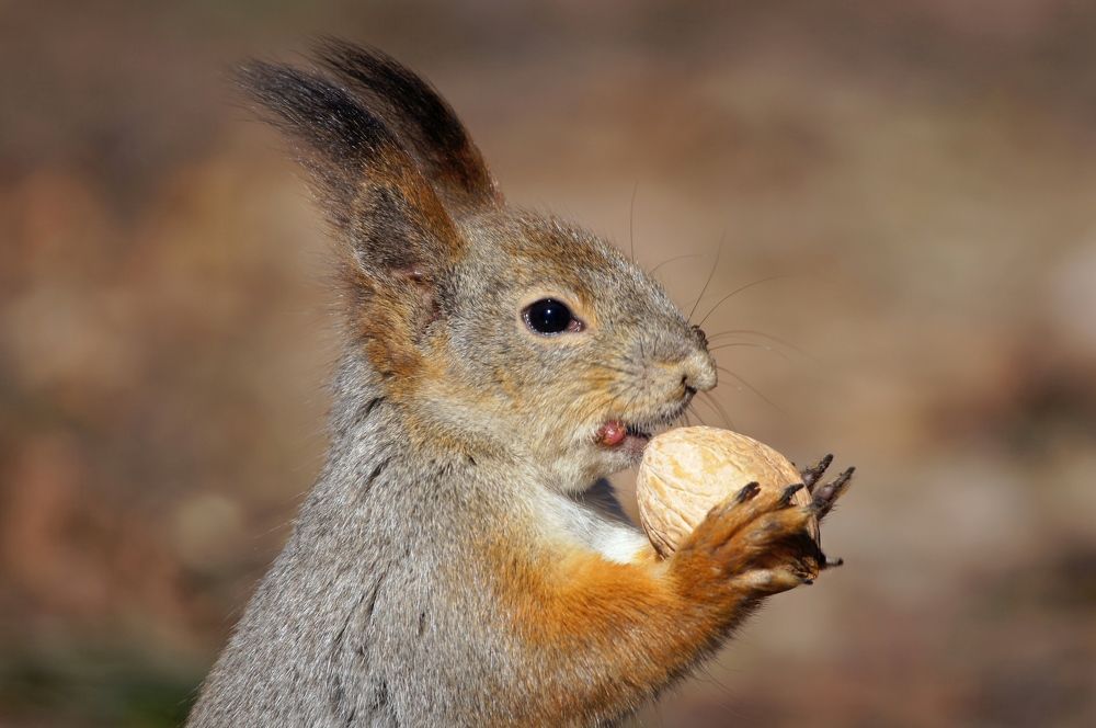 Фотография автора Галина