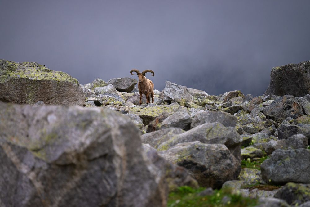 Photograph by Иван Нестеров