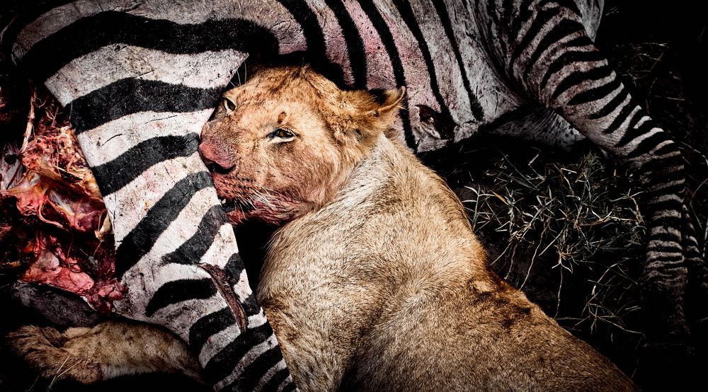 Моя прелесть