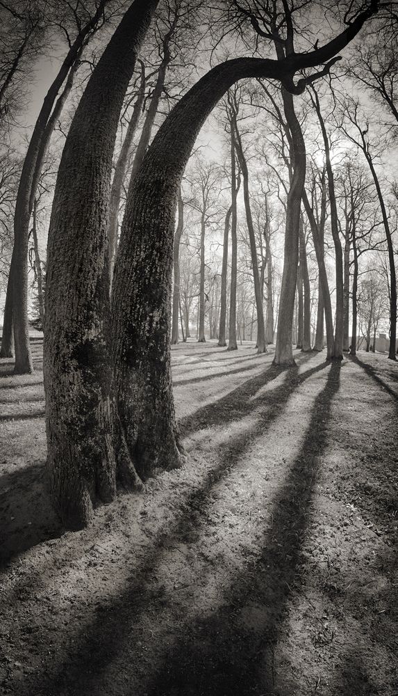 Photograph by Juris Buklovskis