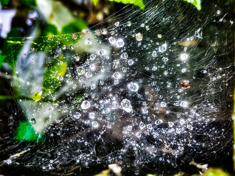 Photograph by Сергей Назаредский