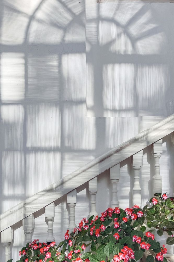 Фотография автора Larisa Meshkova