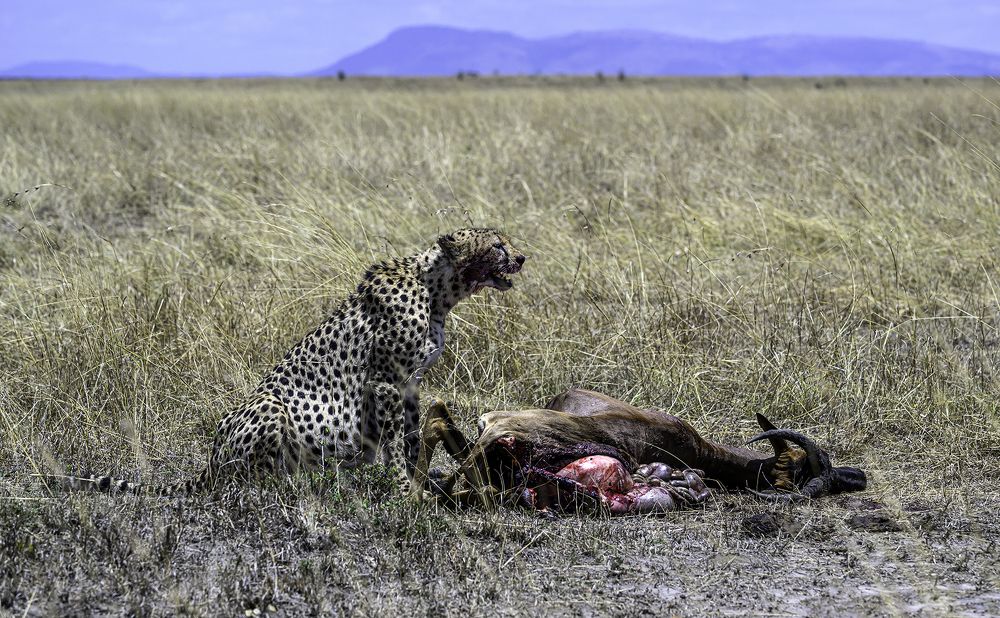 Photograph by Nuwair ALHajeri