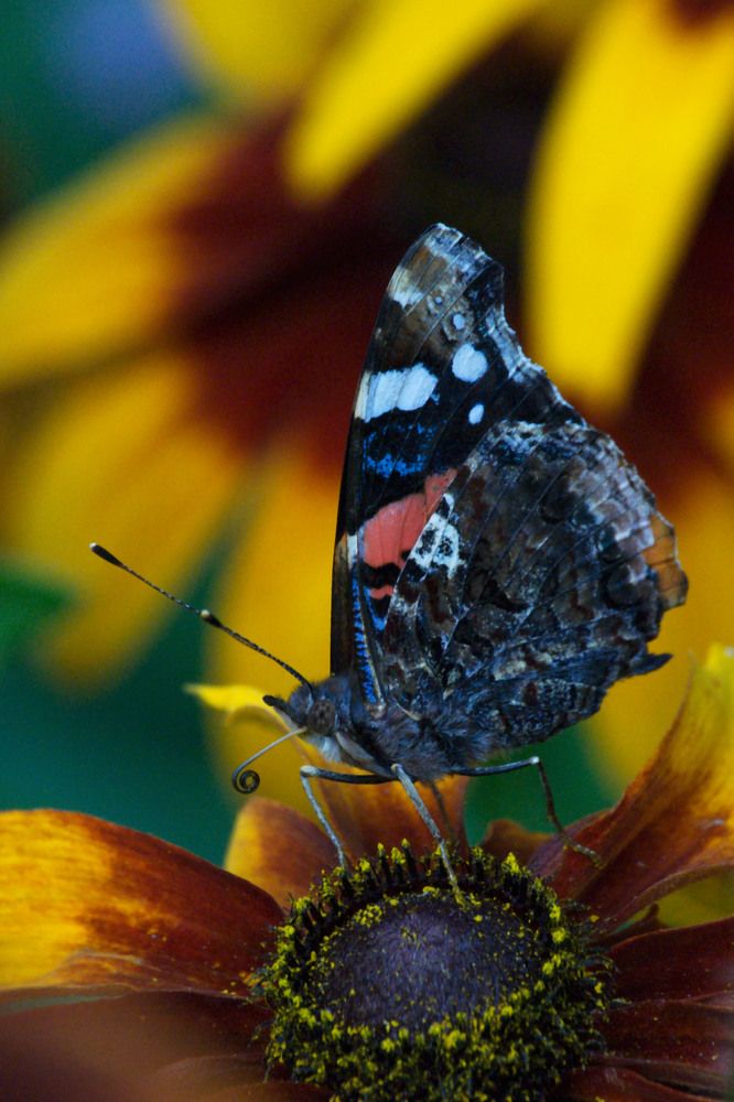 Photograph by Yroslava Veretina