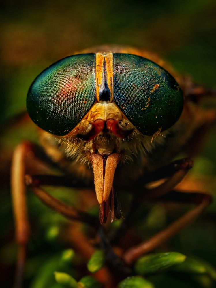 Photograph by Сергей Назаредский