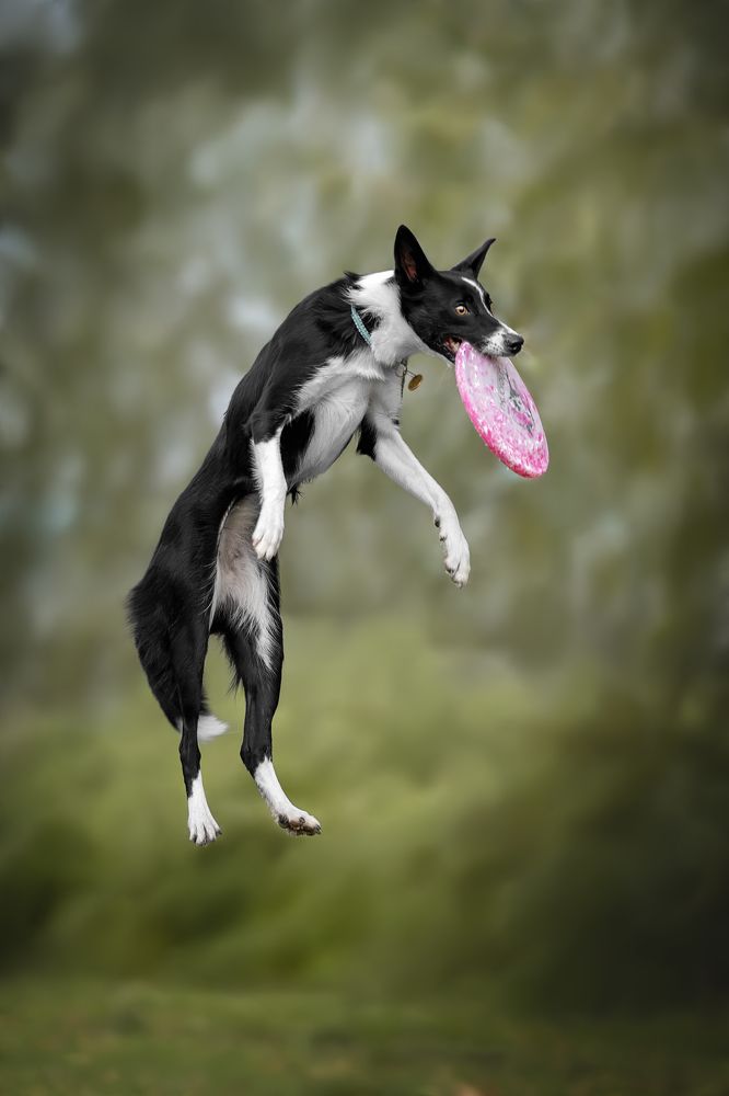 Photograph by Ирина Голомб