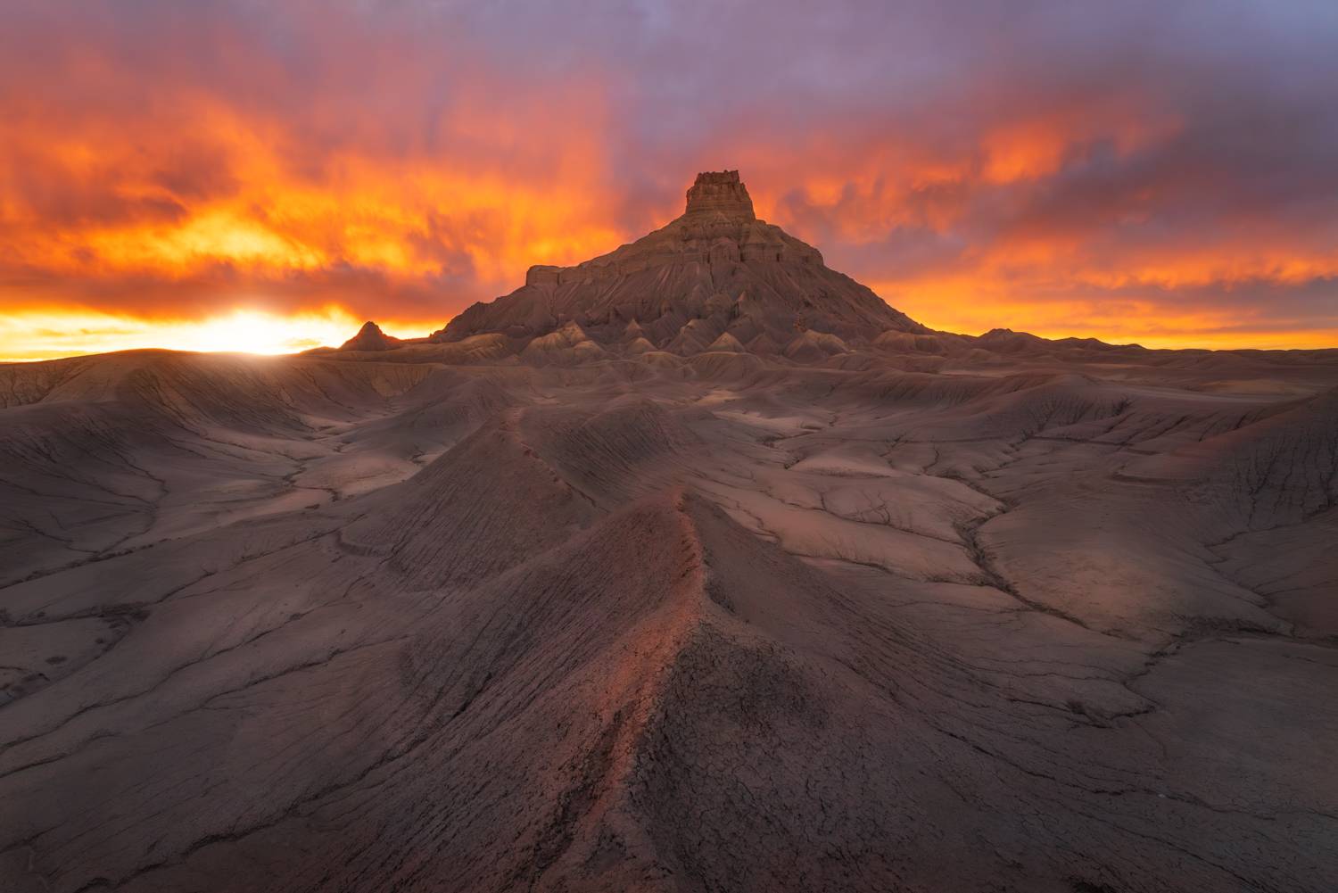 Фотография #11004598