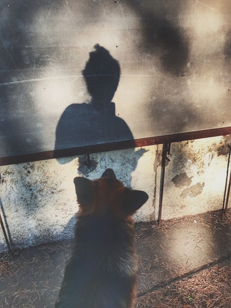 Фотография автора Наталия