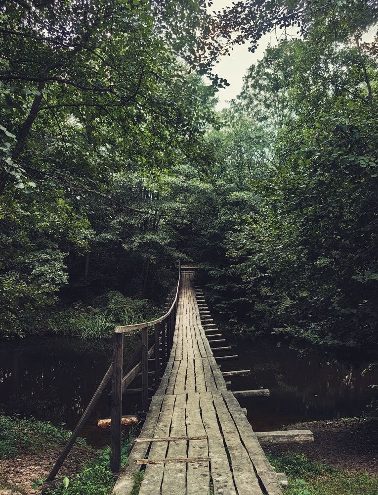 Photograph by Наталья Жуковская