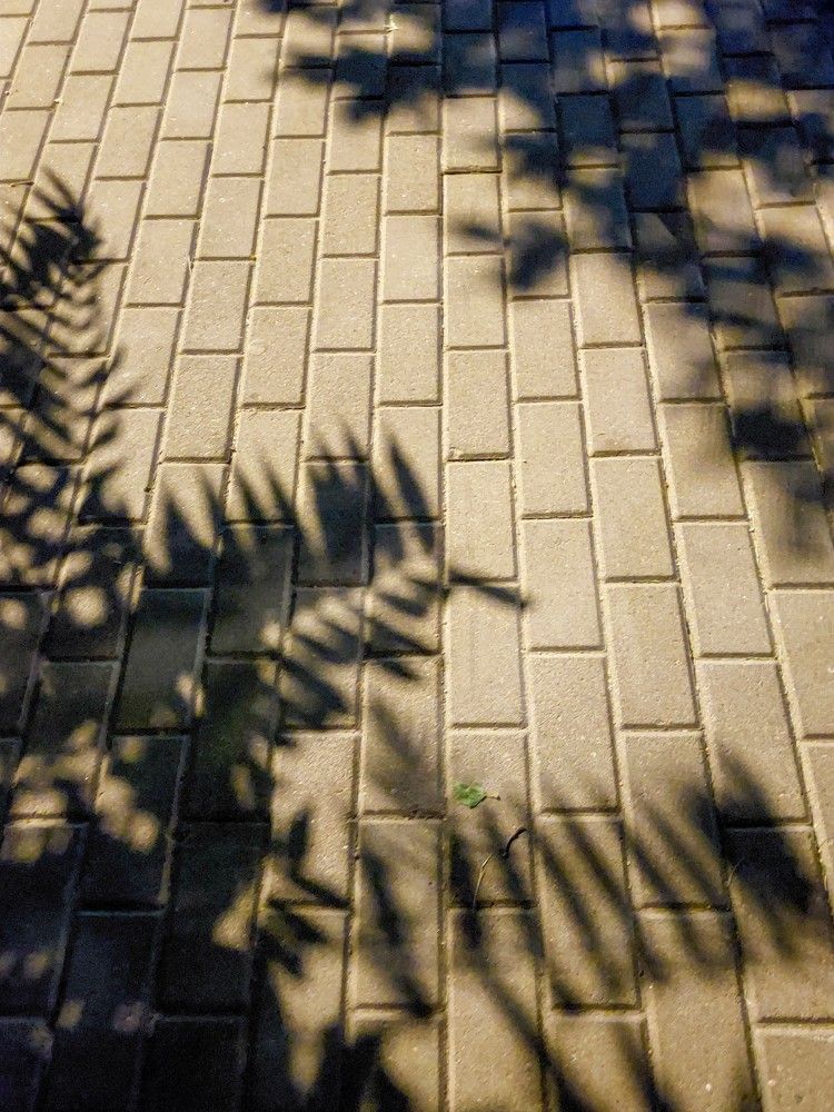 Фотография автора Светлана Дунаева