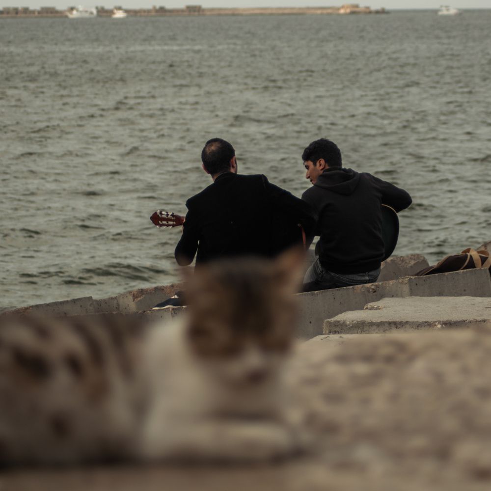 Photograph by Ahmed FahmyZa