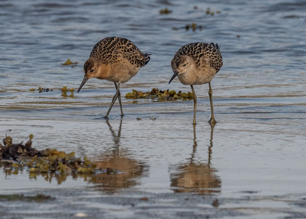 Photograph by Савчук Сергей