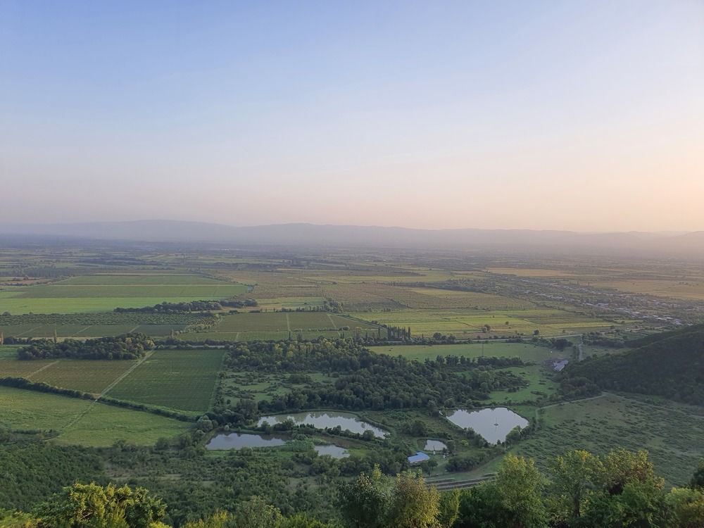 Photograph by Lamara Avalishvili