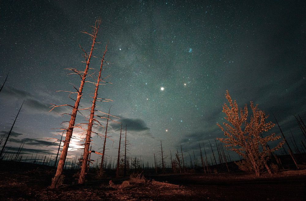Фотография автора Антон Сандалов