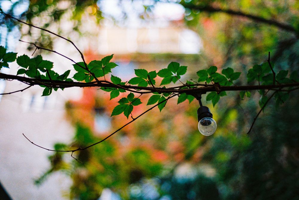 Photograph by Alexander Omelchuk