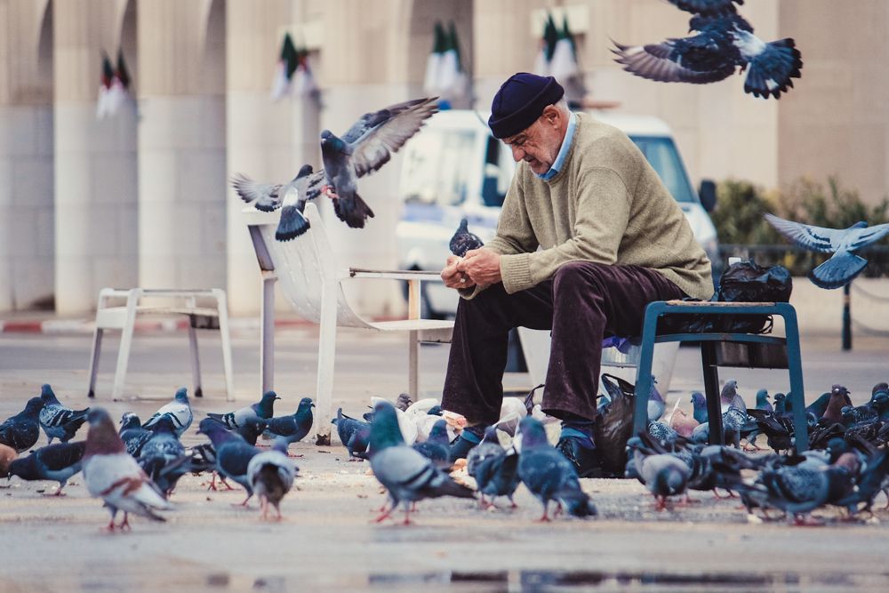 Photograph by moussaab