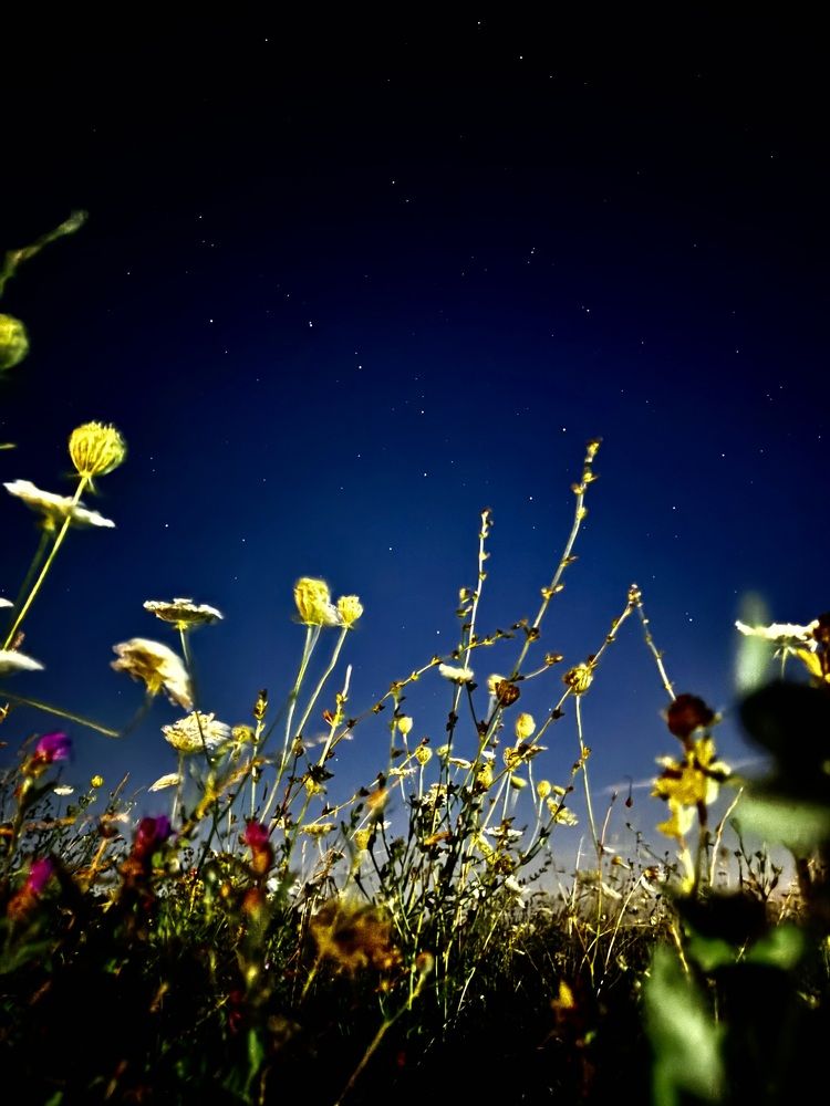 Photograph by Николай Хрупов