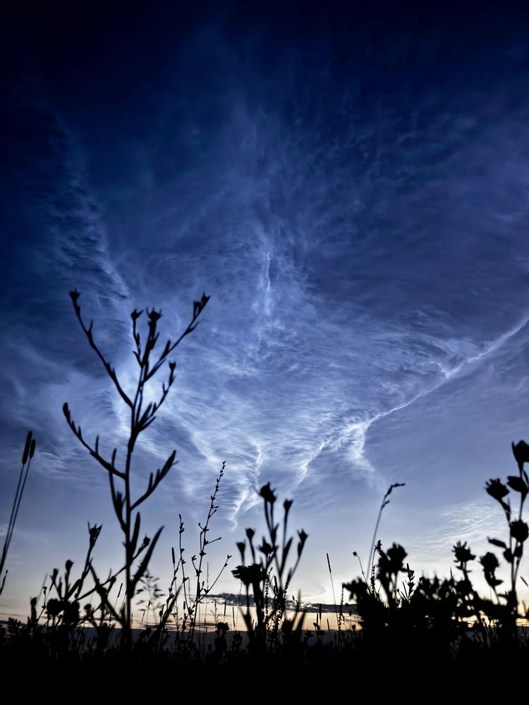 Photograph by Николай Хрупов