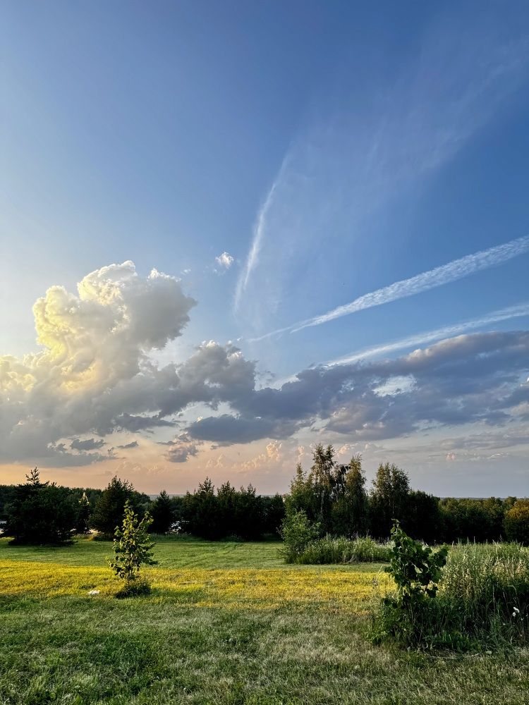 Photograph by Николай Хрупов