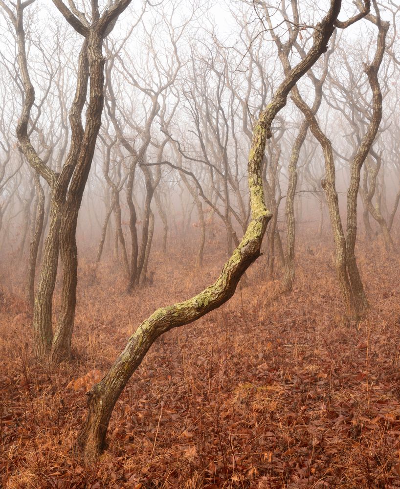 Photograph by Едуш Сергей